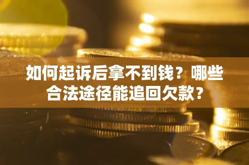 武汉如何起诉后拿不到钱？哪些合法途径能追回欠款？