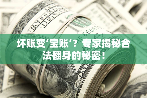 武汉坏账变‘宝账’？专家揭秘合法翻身的秘密！