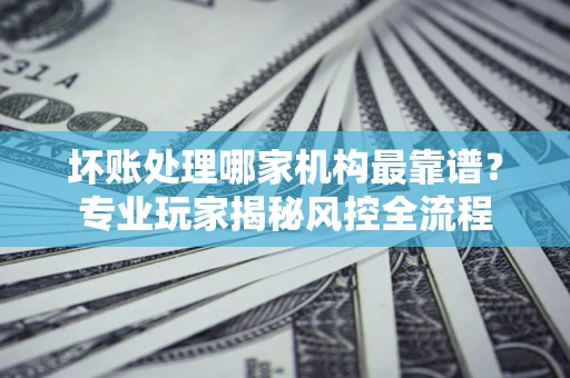 武汉坏账处理哪家机构最靠谱？专业玩家揭秘风控全流程