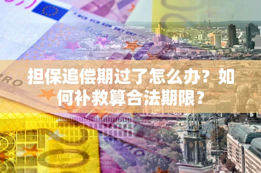 武汉担保追偿期过了怎么办？如何补救算合法期限？