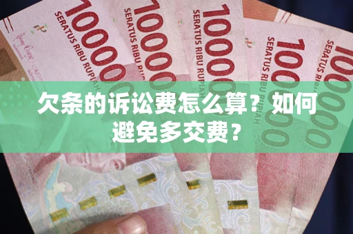 武汉欠条的诉讼费怎么算？如何避免多交费？