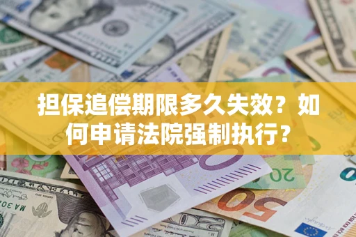 武汉担保追偿期限多久失效？如何申请法院强制执行？