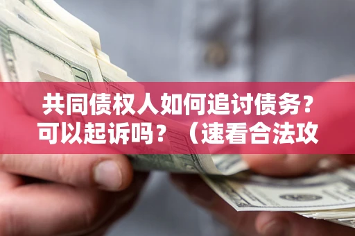 武汉共同债权人如何追讨债务？可以起诉吗？（速看合法攻略）