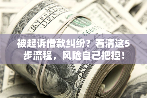 武汉被起诉借款纠纷？看清这5步流程，风险自己把控！