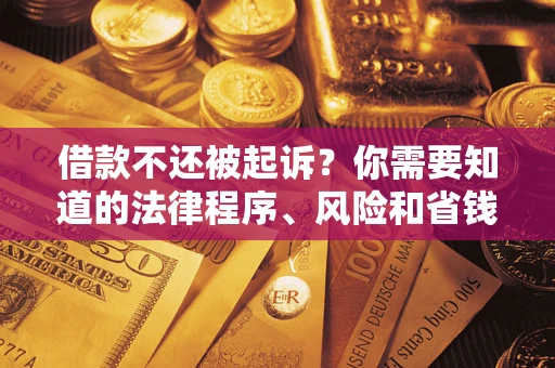 武汉借款不还被起诉？你需要知道的法律程序、风险和省钱技巧