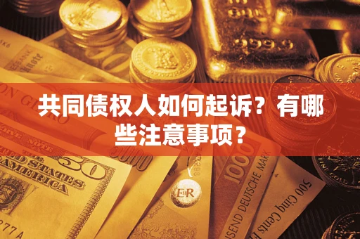 武汉共同债权人如何起诉？有哪些注意事项？