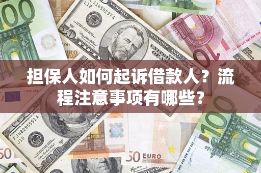 武汉担保人如何起诉借款人？流程注意事项有哪些？